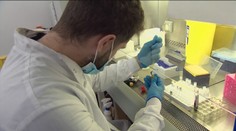 Vedci vyvinuli test, ktorý dokáže odhaliť 50 druhov rakoviny iba z jednej vzorky krvi