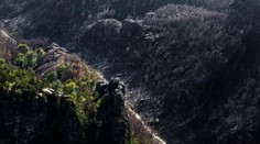 OBRAZOM: Rok po požiari v Českom Švajčiarsku. Krajina sa hojí, čierne jazvy sa pomaly začínajú zelenať