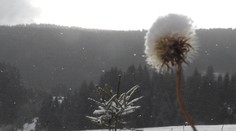 Pani Zima už prišla, najviac ju pocítili na severe