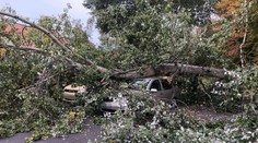 Veterná búrka Mortimer vyvracala v Česku stromy. Hlásia aj výpadky energie