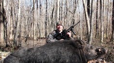 Toto behalo po lesoch! Kapitálna divá sviňa