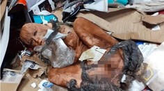 Pracovník komunálnych služieb našiel v odpade torzo tela. Šok nastal, keď ho odhrabal