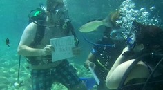 Mladík požiadal priateľku o ruku pri potápaní. Ona sa skoro utopila