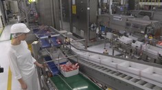 Na Zemplíne vzniknú desiatky pracovných miest. Firmy ohlásili miliónové investície