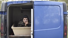 Loj ako mŕtvola: Pozrite si exkluzívne ukážky z drsného nakrúcania