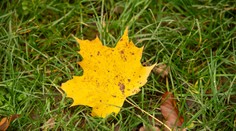 Vzduch zohrejú slnečné lúče. Pred nami je pekný deň bez dažďa