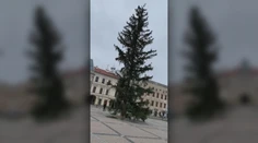 Patálie s vianočným stromom v Banskej Bystrici. Osadili už tretí v poradí
