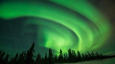 Túto nádheru môžete vidieť NAŽIVO! Priamy prenos z Aljašky TU a TERAZ