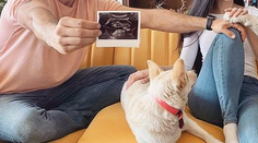 Krásna správa: Z moderátora Telerána bude otec