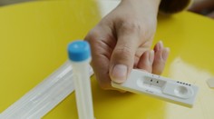 Aká bude aktuálna vlna covidu? Epidemiológ Pavelka priblížil, ako sa správajú nové mutácie