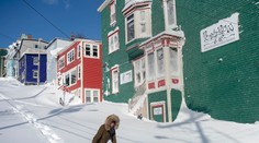 Časozberné video: Obrovská fujavica v Kanade. Za noc napadalo takmer meter snehu