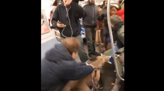 VIDEO: Desivý incident v metre. Pitbul sa zahryzol do ženy a trhal