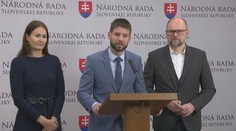 „Totálne ožratý a vydesený podpredseda parlamentu“, vyhlásil Sulík o záberoch z Dankovej nehody