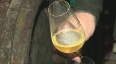 Počuli ste už o nahom víne? Čoraz väčšiu popularitu má aj medzi našimi vinármi