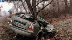 Dostal šmyk a narazil do stromu. Vodič nemal šancu náraz prežiť