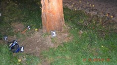 Opitý motorkár (†23) bez vodičáku zomrel po náraze do stromu