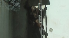 Najznámejší ľudoop Kiran už nie je v bojnickej zoo