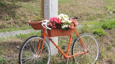 Slovenskú obec Beluj skrášľujú staré bicykle