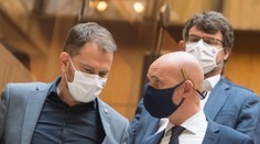 Koaličná komédia. Medzi sebou bojujúci Matovič s Gröhlingom sa chcú postaviť do čela protivládneho štrajku