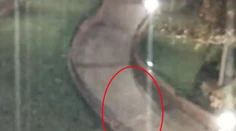 Kamery vraj zachytili ducha slávneho Walta Disneyho!