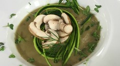 Šampiňónový krém s kôprom