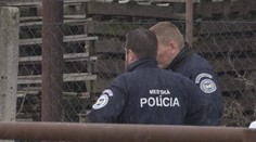 Mal ju udrieť, zabaliť do koberca a hodiť do žumpy. Verzia druha nebohej Ingrid (†53) polícii nesedí