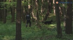 Mladá mamička sa už k svojmu synčekovi nevráti. Jej telo našli po dvoch dňoch