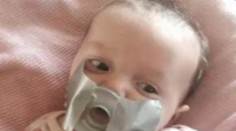 Toto majú byť vtipné fotografie. Prídu vám smiešne? Nám teda nie