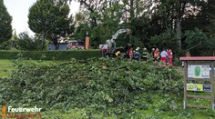 Na mikrobus v Rakúsku počas búrky padol strom, zomreli traja muži. V aute sedelo aj dieťa