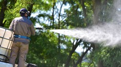 V obciach na Záhorí použili na komáre postrek. Zisťovali sme, či pomohol