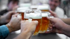 Pivárov čakajú ťažké časy. Pre zmenu klímy budeme mať zrejme problém s nedostatkom chmeľu