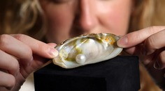 Rybár ani na smrteľnej posteli neprezradil, kde ju našiel. Jedinečná perla sa vydražila za desaťtisíce