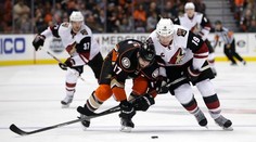 Coyotes zastavili víťaznú sériu Anaheimu