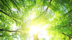 To ešte Slovensko nezažilo. Pár dní po konci zimy teplota atakuje "tridsiatku"