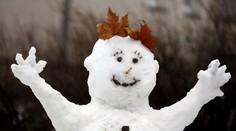 Snehuliak spôsobil dopravnú nehodu