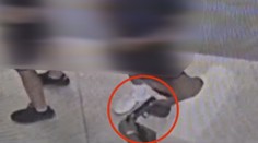 Majú kradnúť, biť ľudí a chodiť ozbrojení. V Trnave údajne pôsobí rodinný gang, ktorý naberá na sile