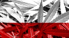 Poľsko zlegalizovalo marihuanu na liečebné účely