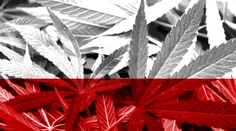 Poľsko zlegalizovalo marihuanu na liečebné účely
