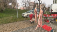 Netradičná zabíjačka na sídlisku v Nitre