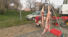 Netradičná zabíjačka na sídlisku v Nitre