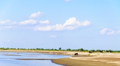 Známemu jazeru hrozí úplne vyschnutie. Nachádza sa len pár kilometrov od Bratislavy