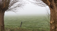Zelené Vianoce, biela Veľká noc. Zdá sa, že sa táto pranostika stane skutočnosťou