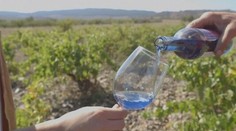 Špaldovo-tvarohové sušienky