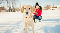 Mrazy vedia potrápiť aj domácich miláčikov. Veterinár radí, ako sa o nich starať