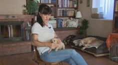 Psíky s krutou minulosťou zažili lásku až u pani Jany. Má ich doma už 13