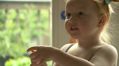 Je to génius. Len dvojročná Isla patrí medzi najinteligentnejšie  dve percentá populácie