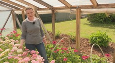 Miluje ich takmer každá žena, pre ekológov sú strašiakom. Lokálna pestovateľka sa rozhodla prispieť k zmene