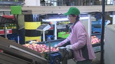 Na Slovensku sa hromadné prepúšťanie zatiaľ nekoná, tvrdí Krajniak
