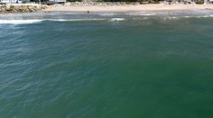 VIDEO: Masaker na pobreží južného Texasu. Žralok počas dvoch útokov napadol až štyroch ľudí