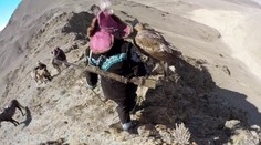 VIDEO: Očami majestátneho orla. Pozrite si unikátne zábery z lovu na líšku